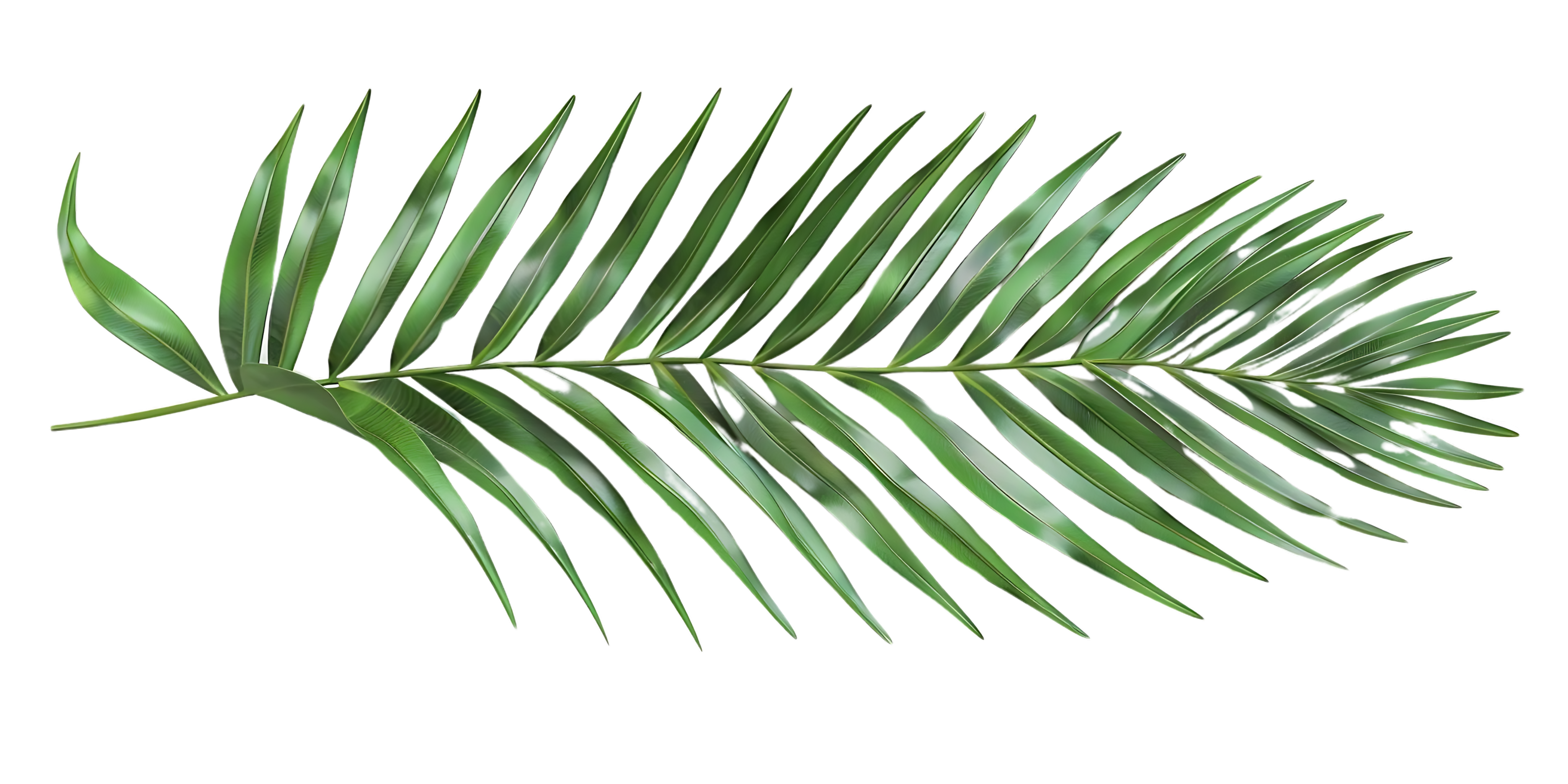 Leaf